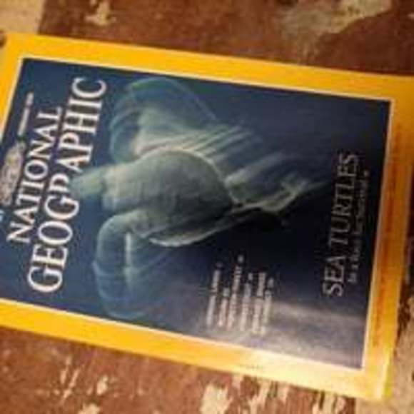 Other - National geographic sea turtles